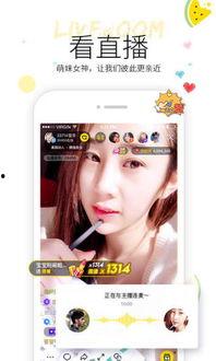 网红小视频吃瓜最新网站,热门事件一网打尽  第1张